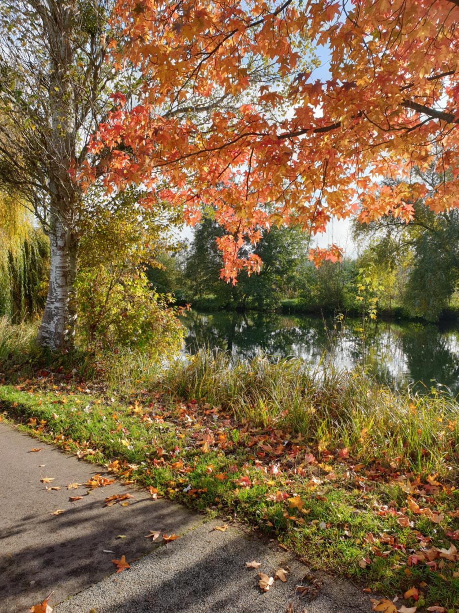 Maison De Charme Avec Jardin Au Bord De L'Eure Villa Le Vaudreuil ภายนอก รูปภาพ